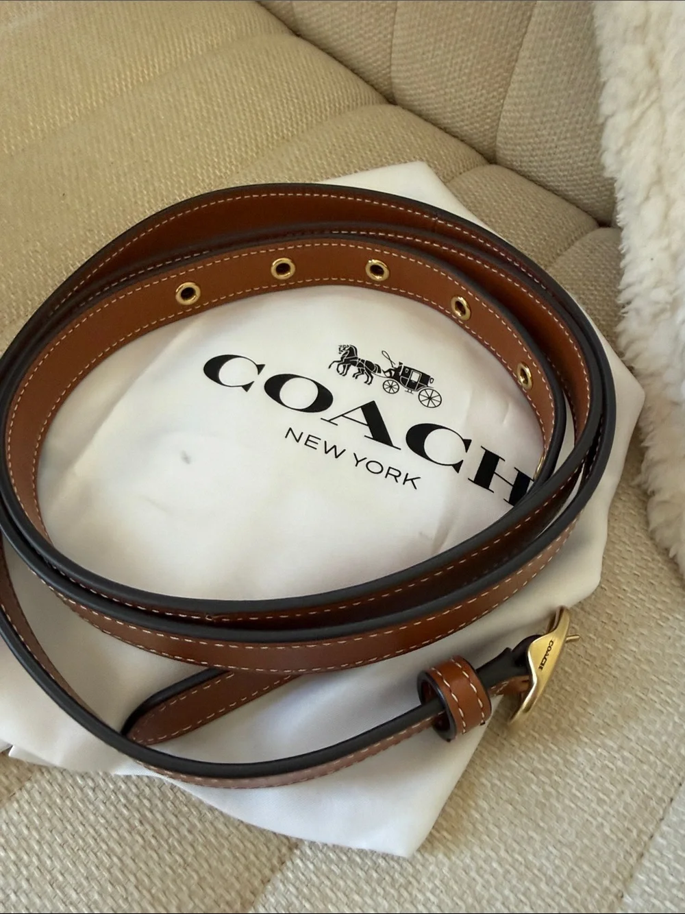 Coach Saddle Brown Idol bag with Gold Chain